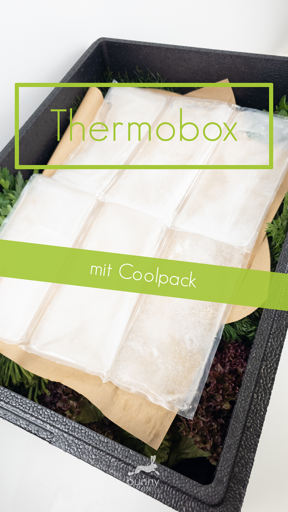 Thermobox mit Coolpacks zur Lagerung von Kaninchenfutter