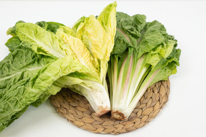 Radicchio Rosa