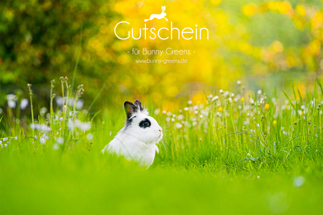 Bunny Greens Gutschein