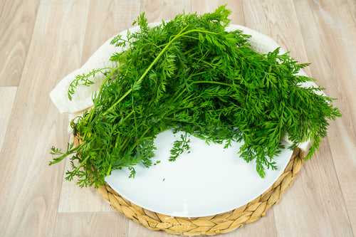 Möhrchengrün frisch lagern
