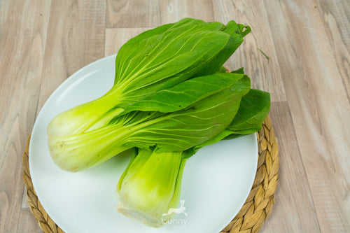 Pak Choi frisch lagern