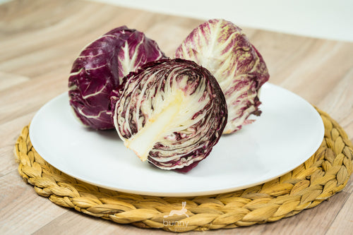 Radicchio frisch lagern