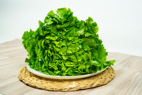Endiviensalat frisch lagern