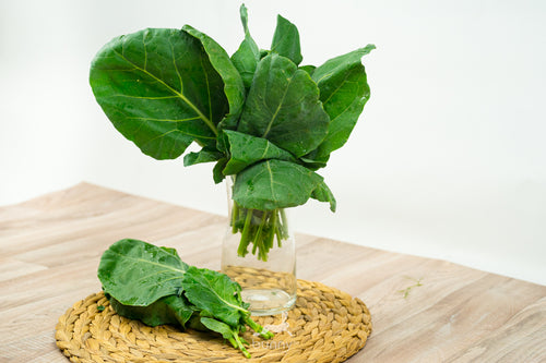 Kohlrabiblätter frisch lagern