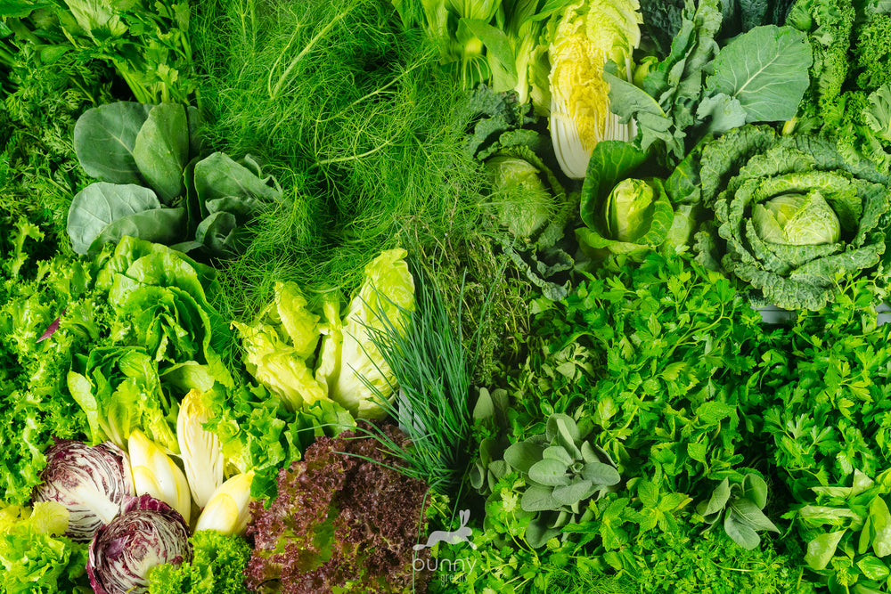 Kräuter und Naturgrün zeitnah verfüttern