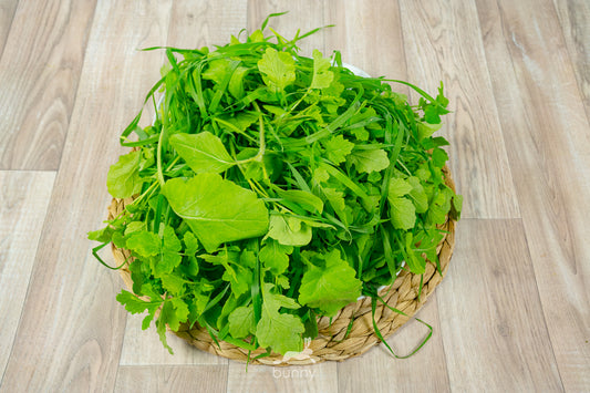 Winter-Wiesenkräuter