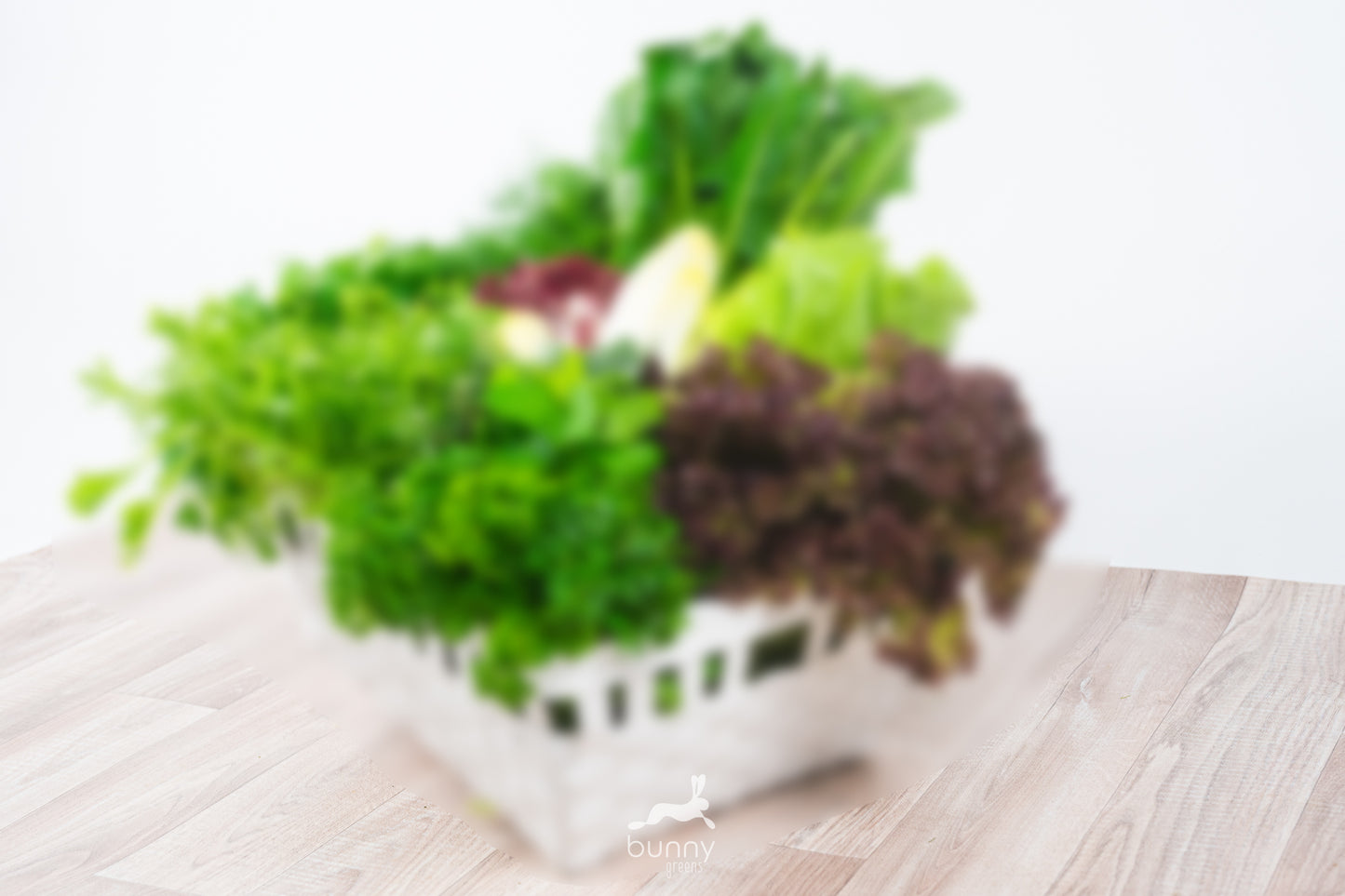 Greenbox - Secret Salads