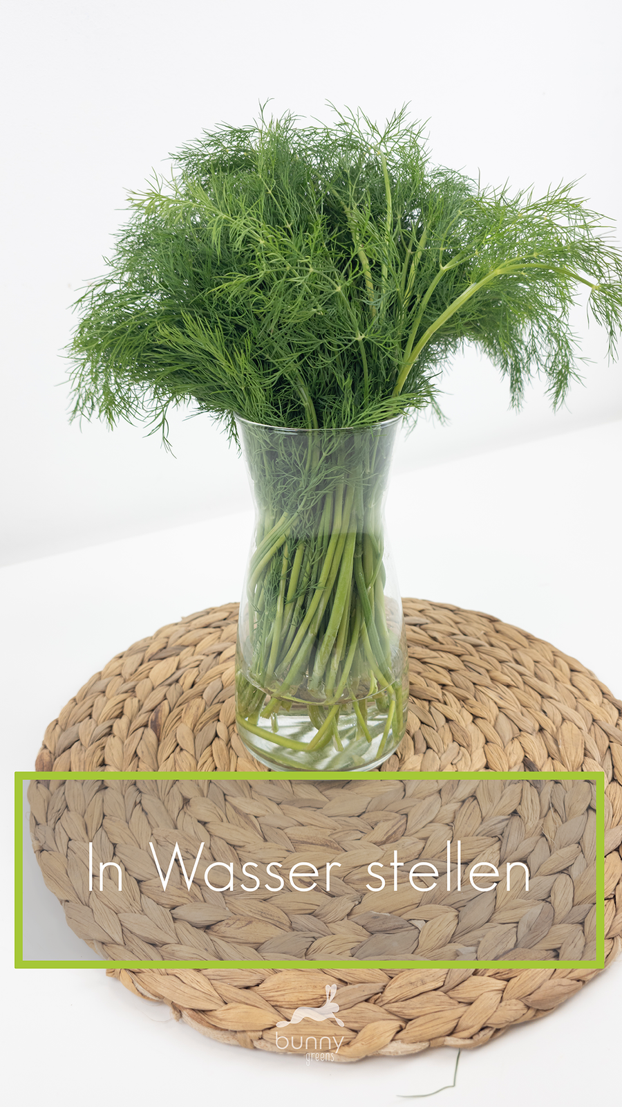 Kräuter für Kaninchen frisch im Wasserglas lagern
