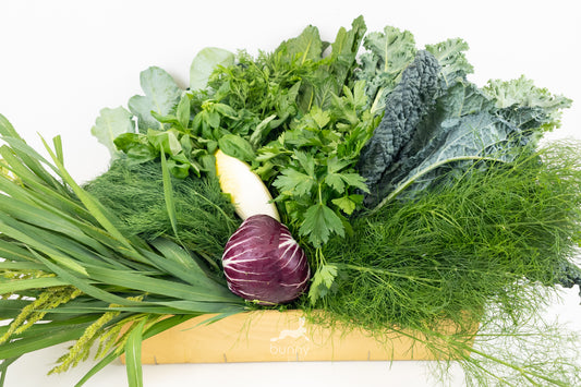 Foto einer beispielhaften Zusammenstellung der Greenbox - Sorgendkind mit Kohl von Bunny Greens.