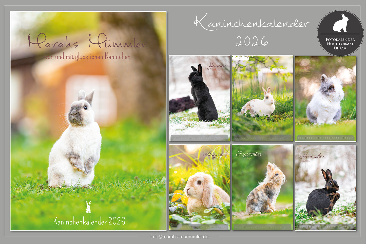 Kaninchen A4 Kalender 2026